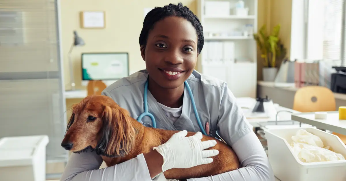 Female Vet Assistant Holding a dog - A day in the life of a veterinary assistant