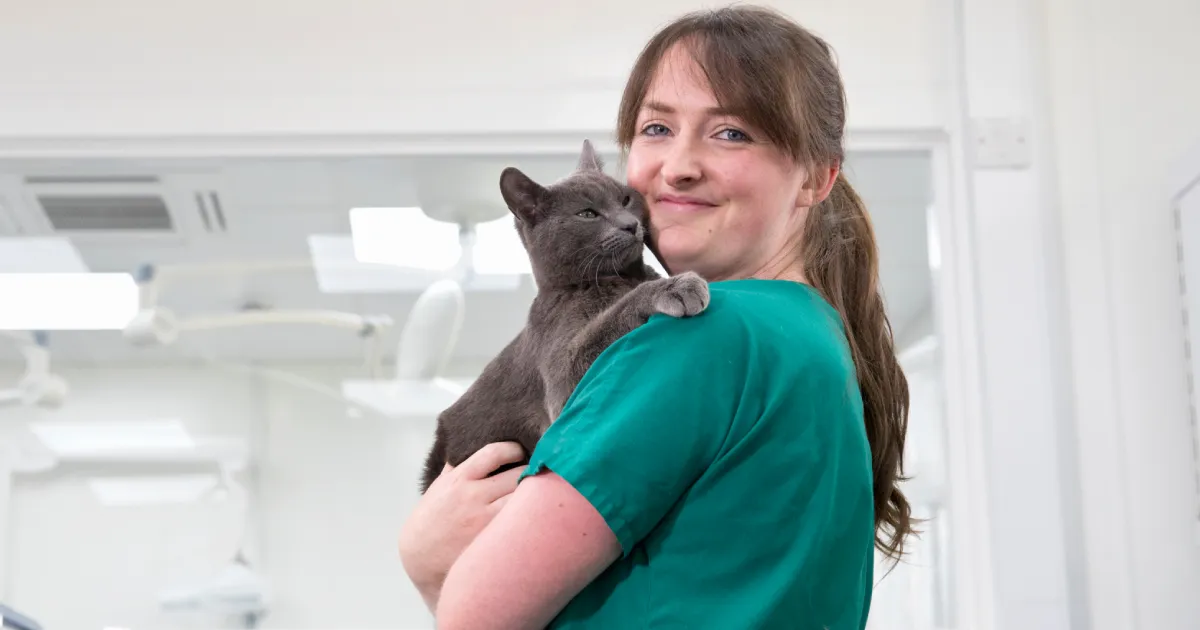 How to Care for Dogs, Cats & Horses as a Veterinary Assistant - Featured